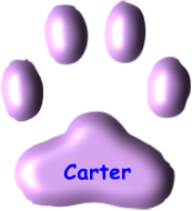 Carter

